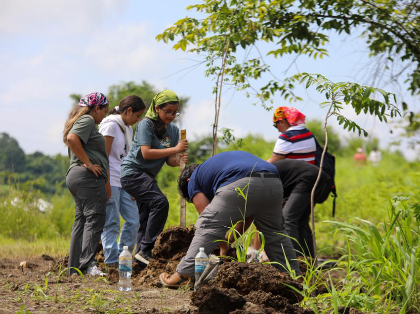 III edición de Siembratón 2023 plantó  árboles en bosque protector  Bosqueira – Alcaldía Guayaquil