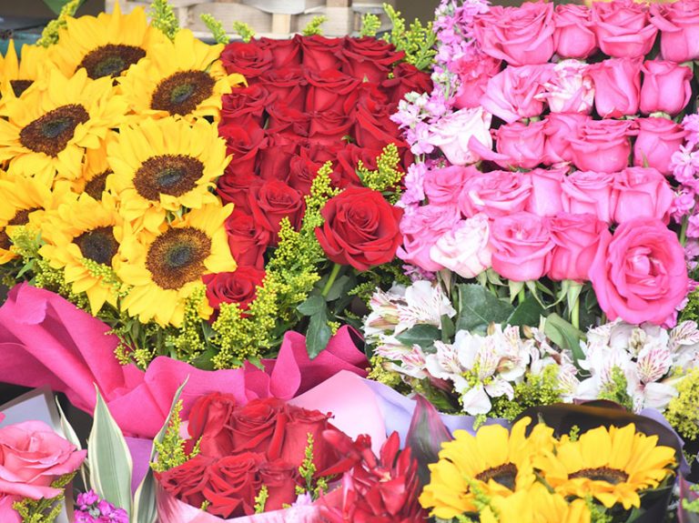 Municipio de Guayaquil hizo arreglos en mercado de flores y aumentará ...