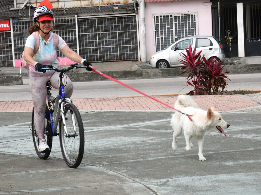 Cicleada por los Derechos de los Animales reunió a más de 500 personas