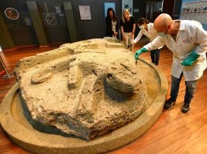 Día del Patrimonio Cultural: Museo Municipal da mantenimiento preventivo a piezas únicas