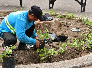 Parque Forestal se embellece con transformación integral y estrenará nueva imagen en octubre
